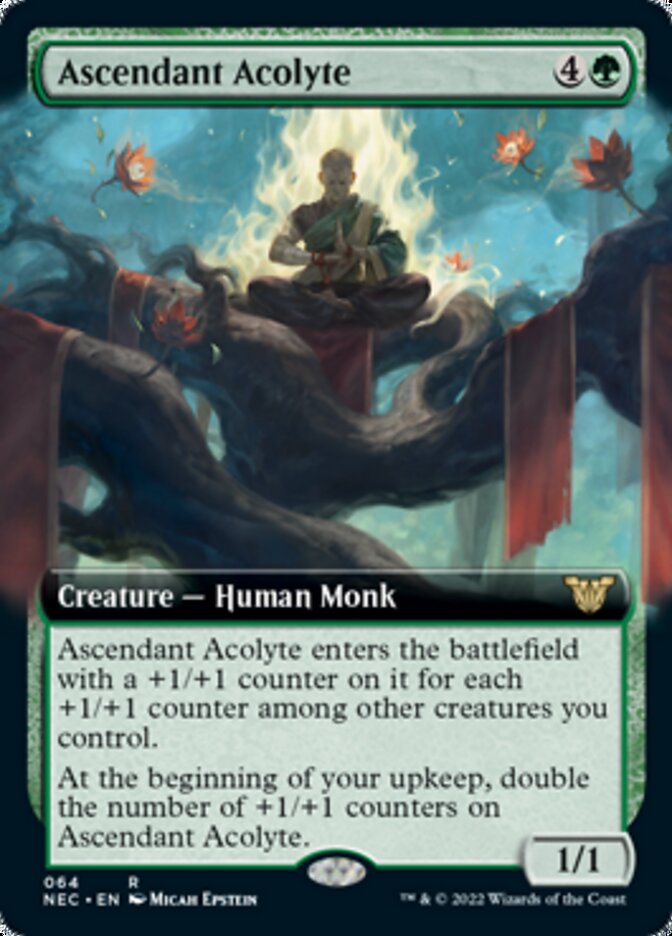 Ascendant Acolyte (Extended) [Kamigawa: Neon Dynasty Commander] | Chromatic Games