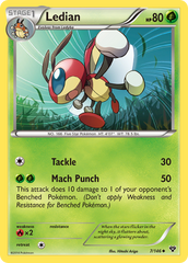 Ledian (7/146) [XY: Base Set] | Chromatic Games