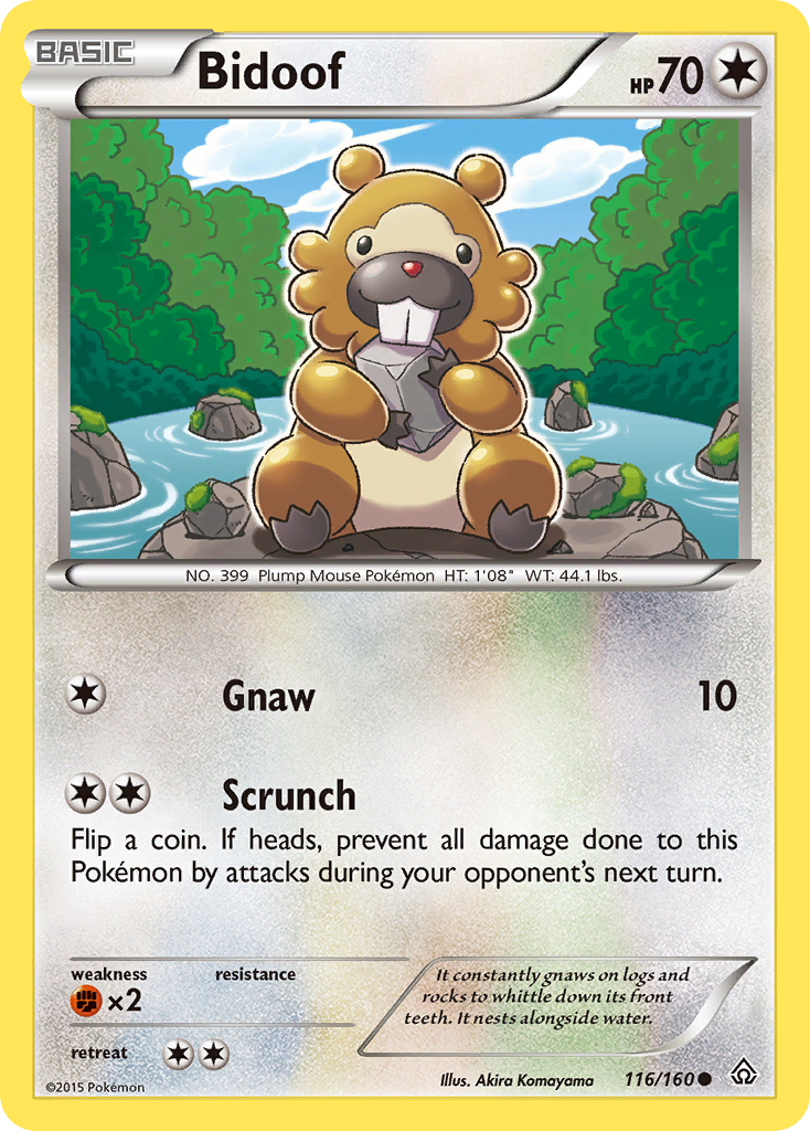 Bidoof (116/160) [XY: Primal Clash] | Chromatic Games